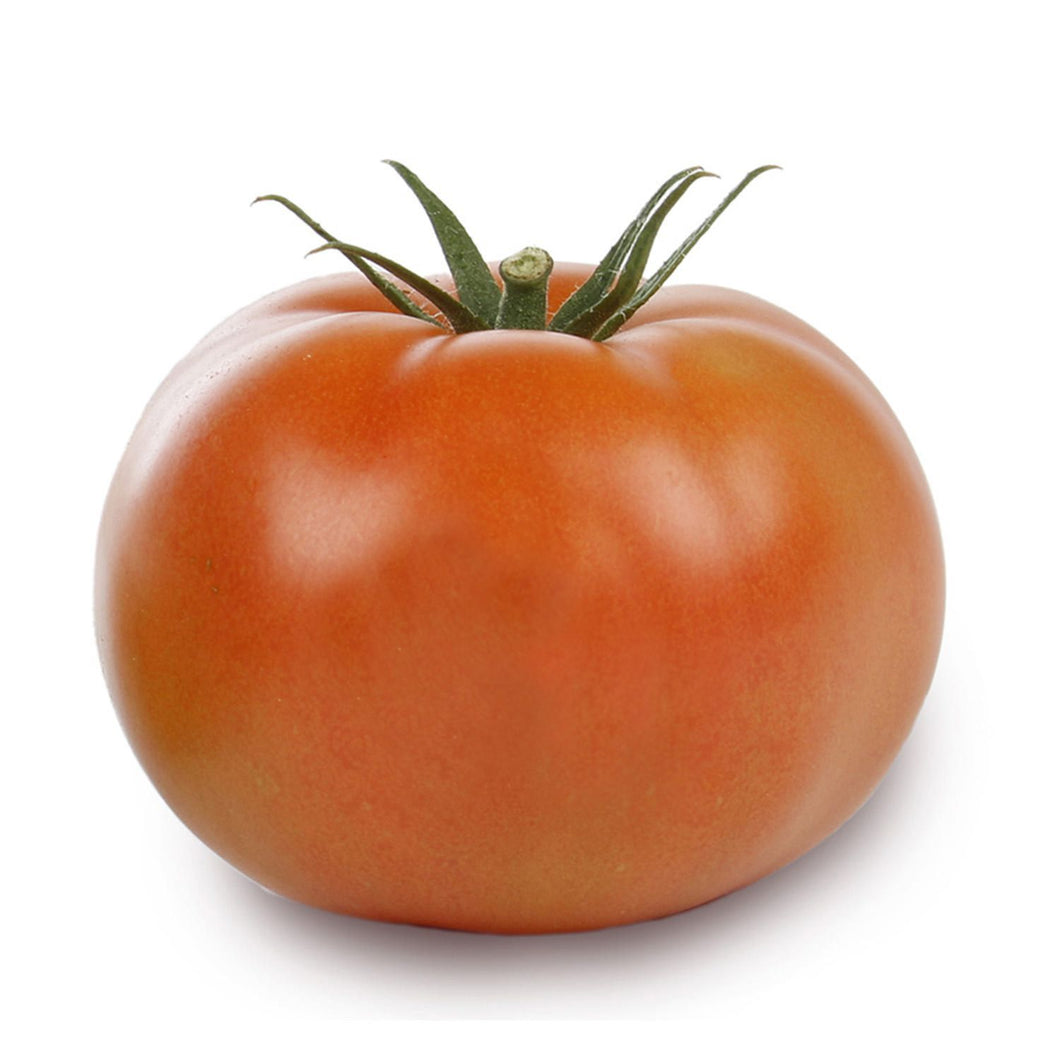 Tomato, Beefsteak